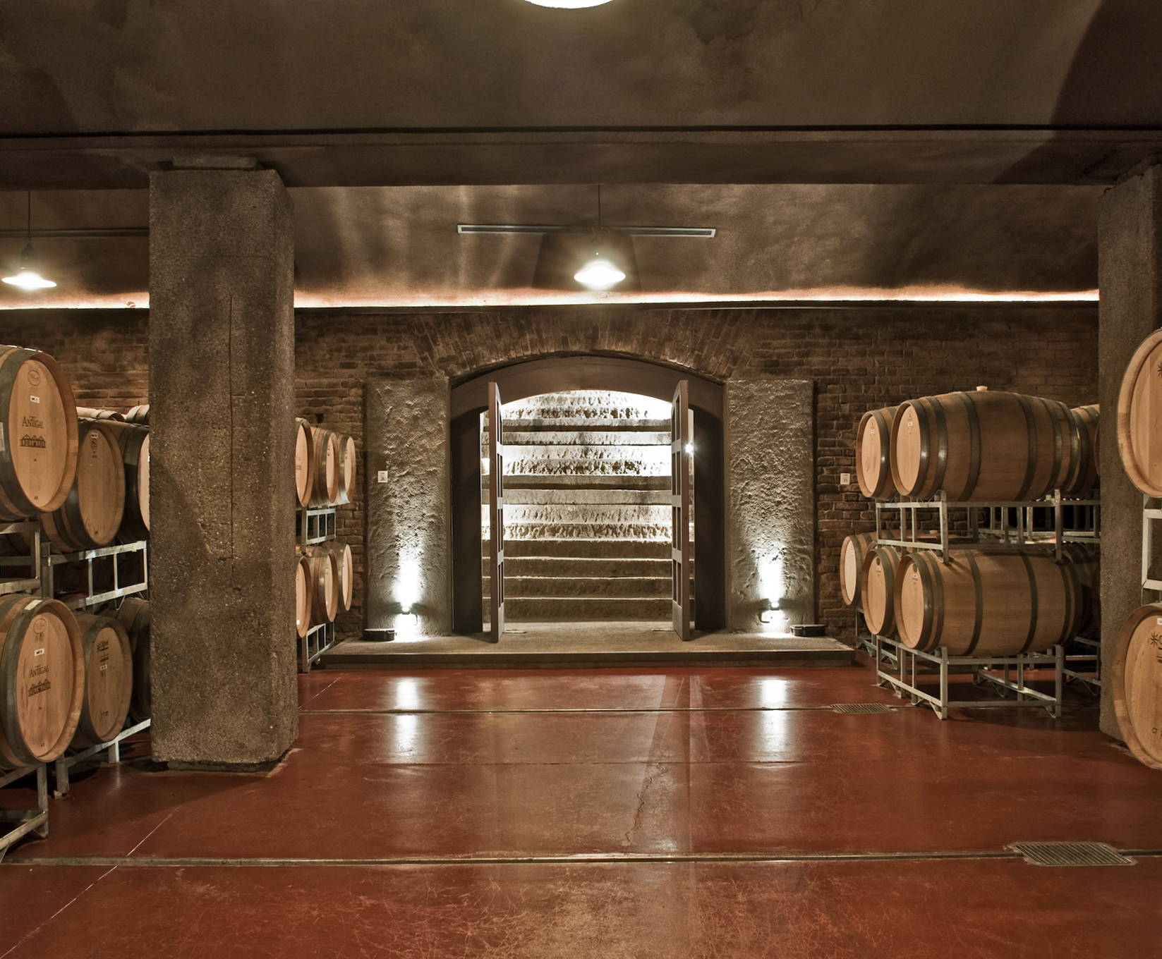 Antigal Winery cellar