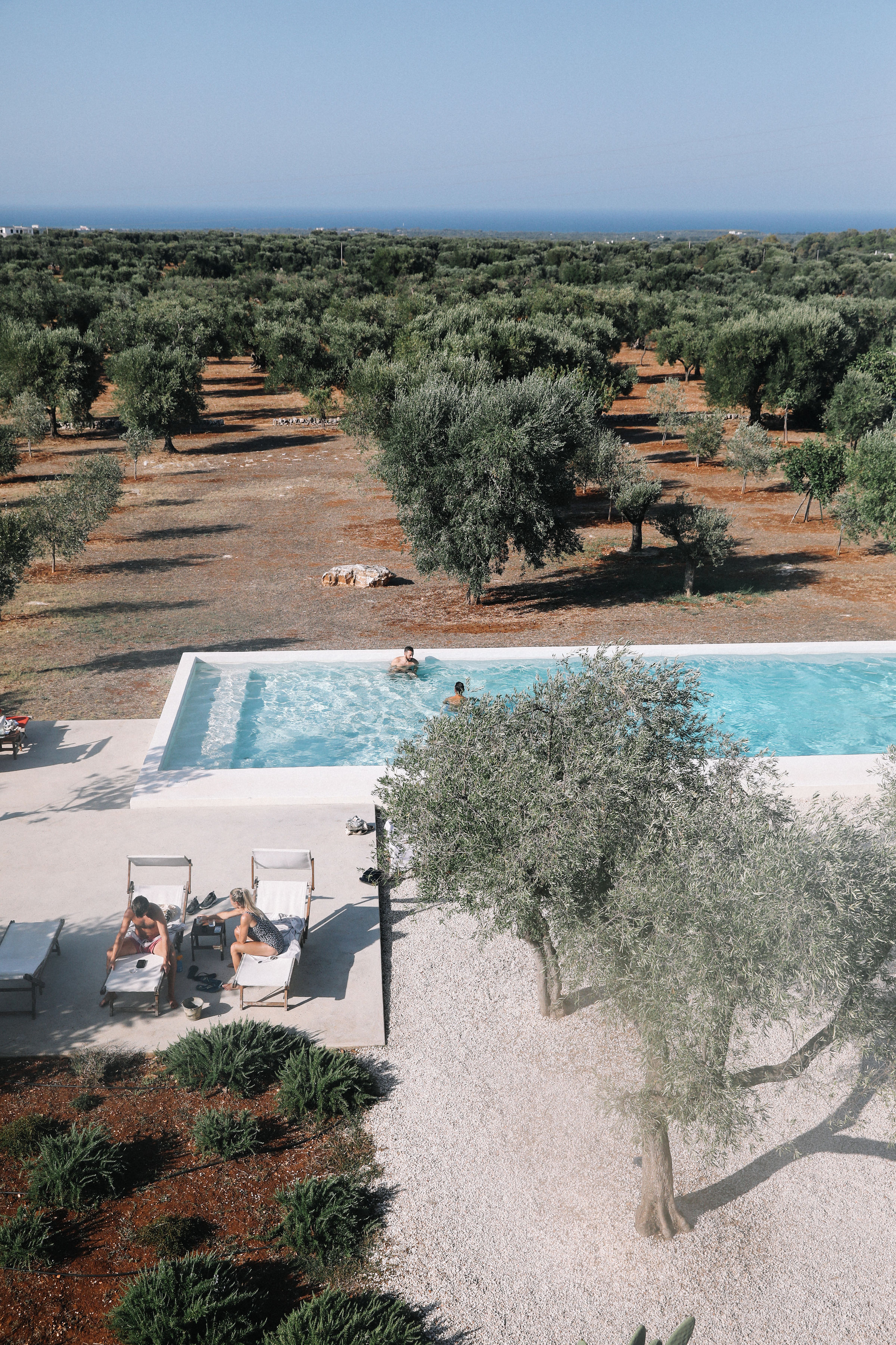 Pool, Olive Groves & Sea at Masseria Moroseta